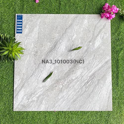 Gạch Viglacera 100x100 NA3-101003