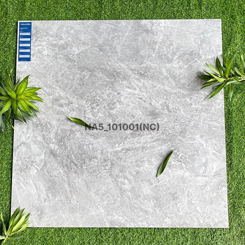 Gạch Viglacera 100×100 NA5-101001