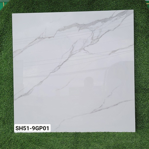Gạch Viglacera 100×100 SH51-9GP01
