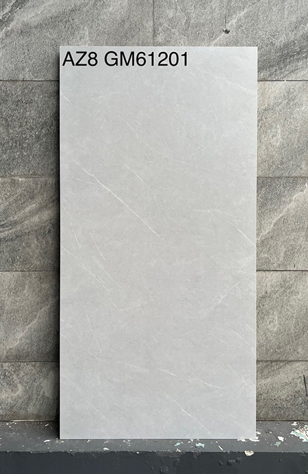 Gạch Viglacera 60x120 mờ AZ8-GM61201