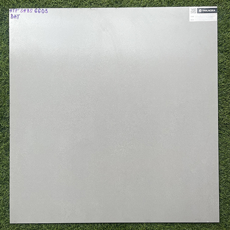 Gạch Viglacera 60x60 bán sứ mờ SHBS6603