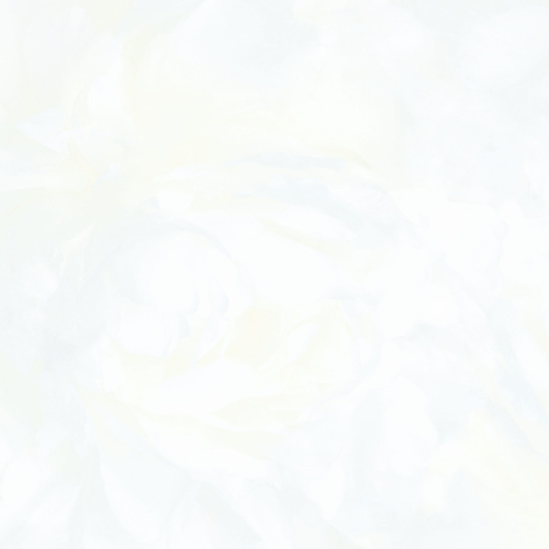 HHG-9010L1-PR6060 - VLXD KIM CƯƠNG