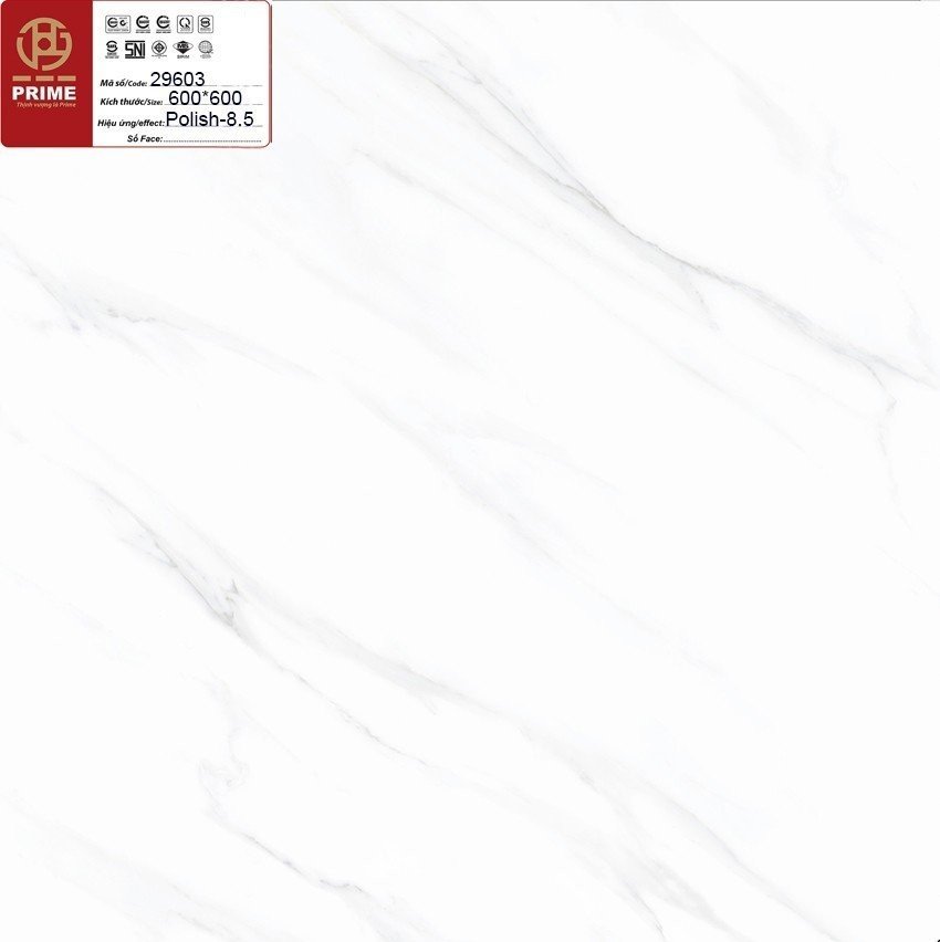HHG-29603L1-PR6060 – VLXD KIM CƯƠNG