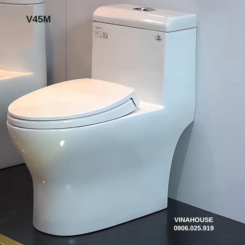 Bồn cầu thông minh Viglacera V45M