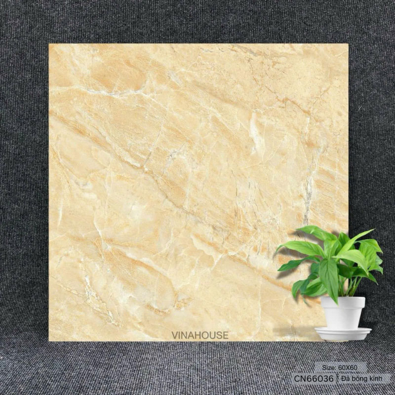 Gạch 60×60 vân đá Marble CN66036
