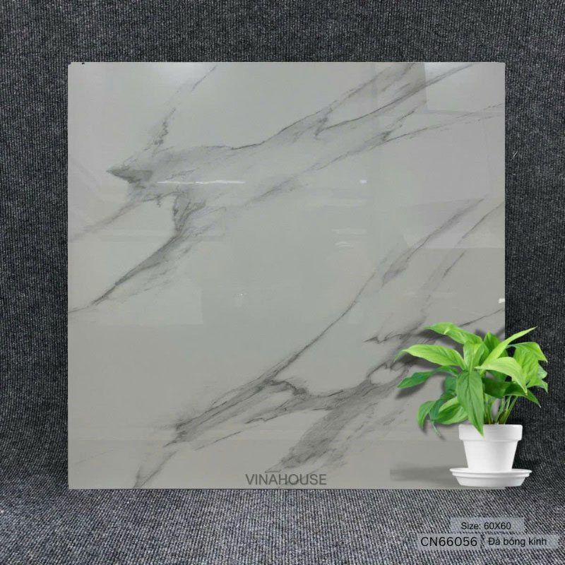 Gạch 60×60 bóng kính CN66056