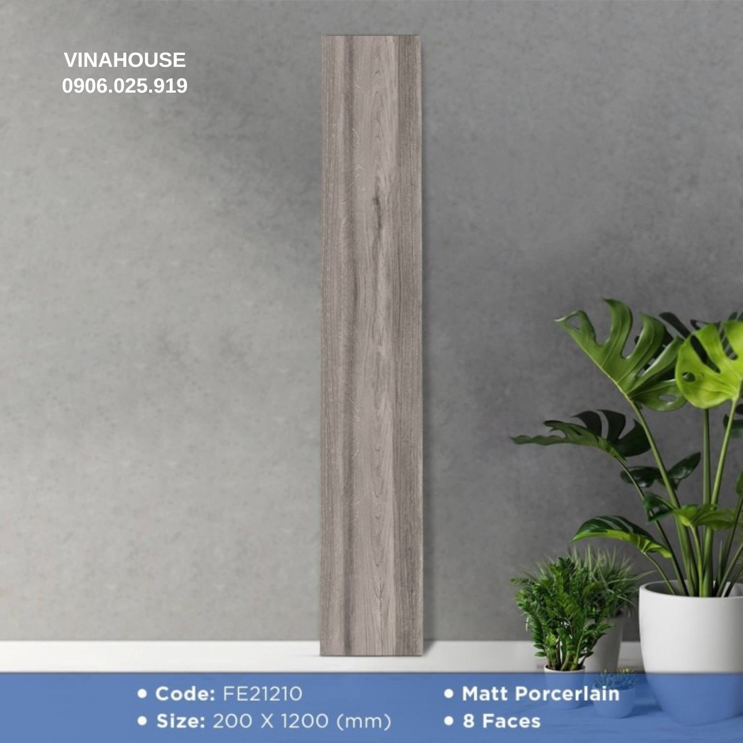 Gạch giả gỗ 20×120 FE21210