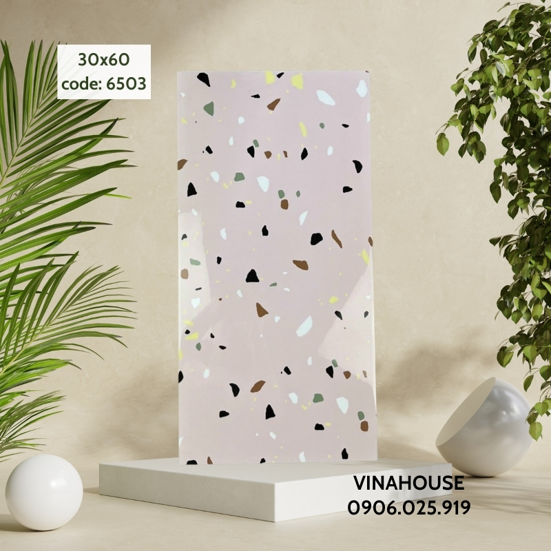 Gạch lát nền 30×60 Terrazzo 6503