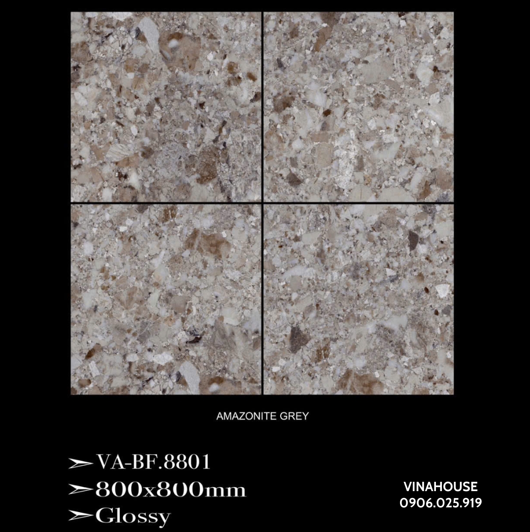 Gạch Lát Nền 80×80 VABF8801