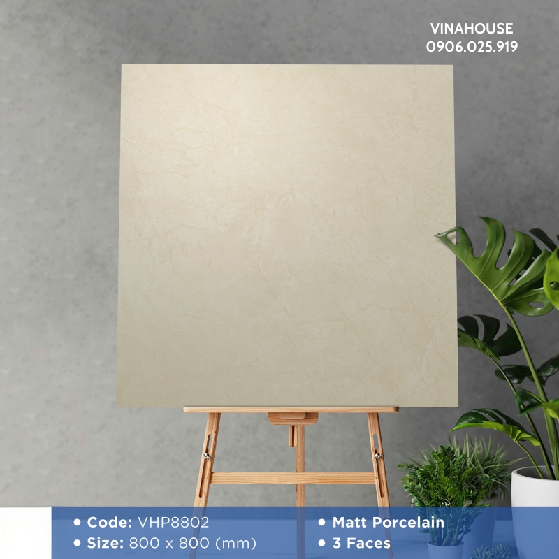 Gạch Lát Nền Viglacera 80×80 VHP8802