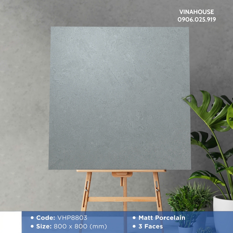 Gạch Lát Nền Viglacera 80×80 VHP8803