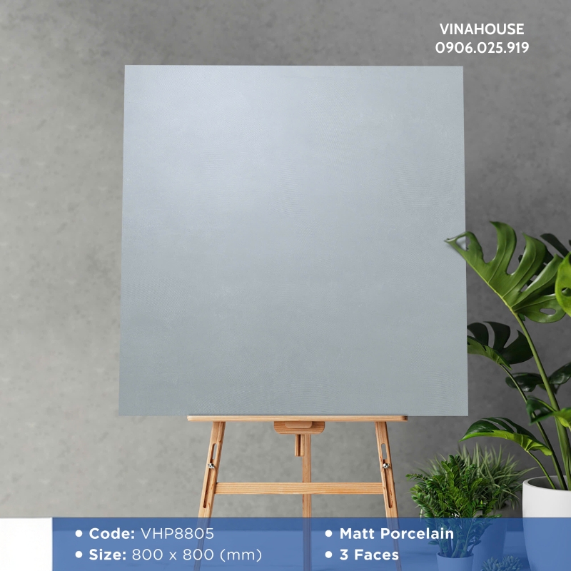 Gạch Lát Nền Viglacera 80×80 VHP8805