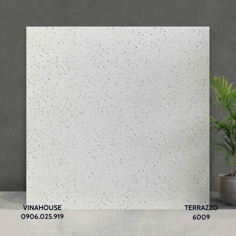 Gạch Lát Nền Terrazzo 6009