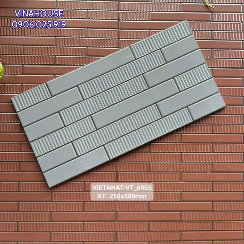 Gạch thẻ trang trí Việt Nhật 25×50 VT_6905