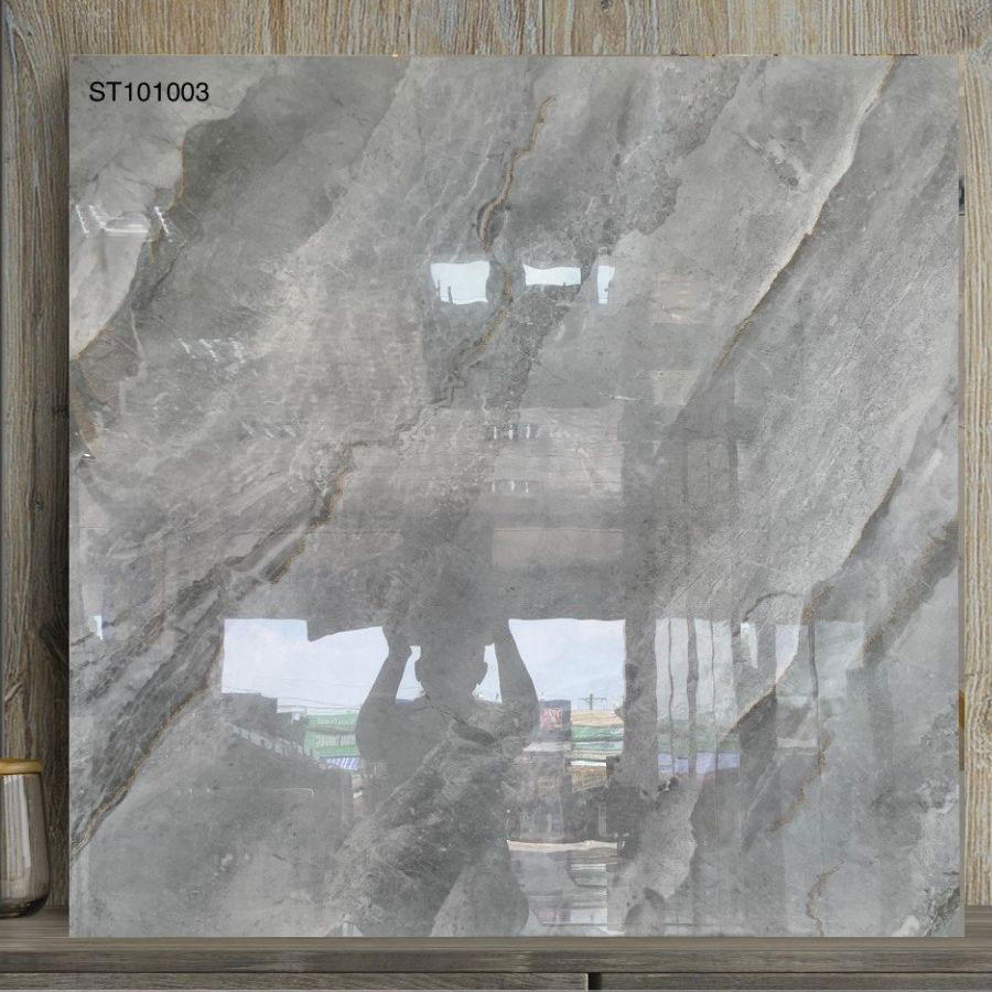 Gạch 100×100 Viglacera ST101003