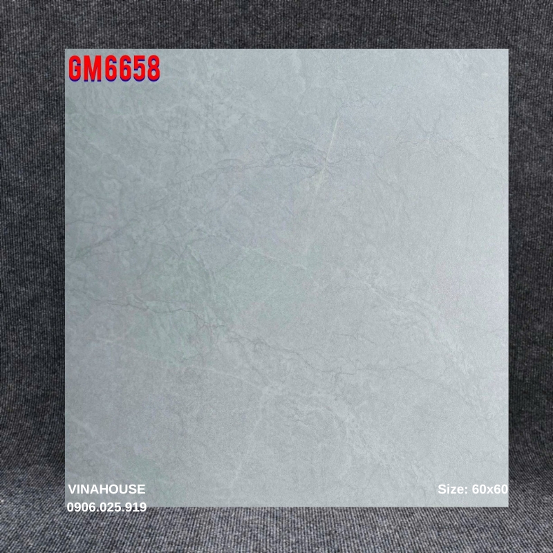Gạch Viglacera 60×60 GM6658