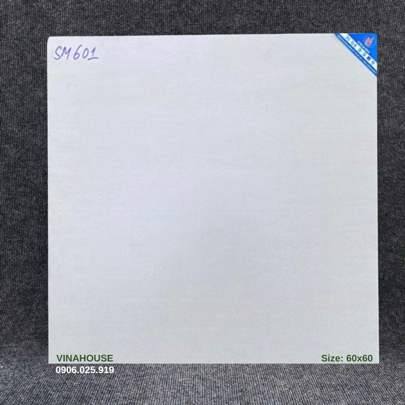 Gạch Viglacera 60×60 mờ SM601