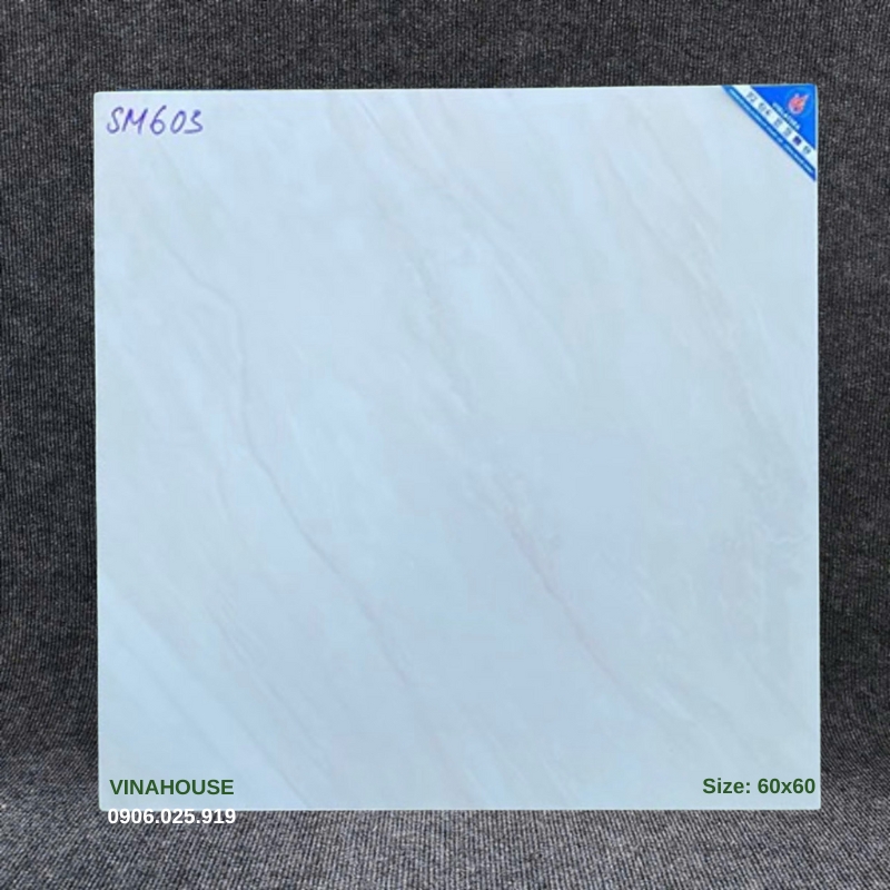 Gạch Viglacera 60×60 mờ SM603