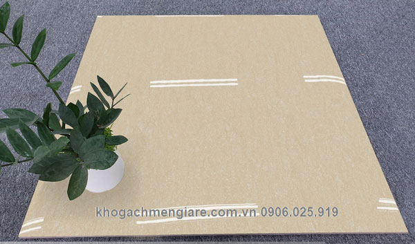 Gạch Bóng Kính 6066