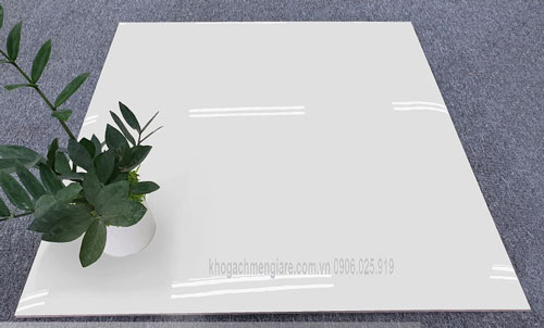 Gạch Bóng Kính 60×60 6010