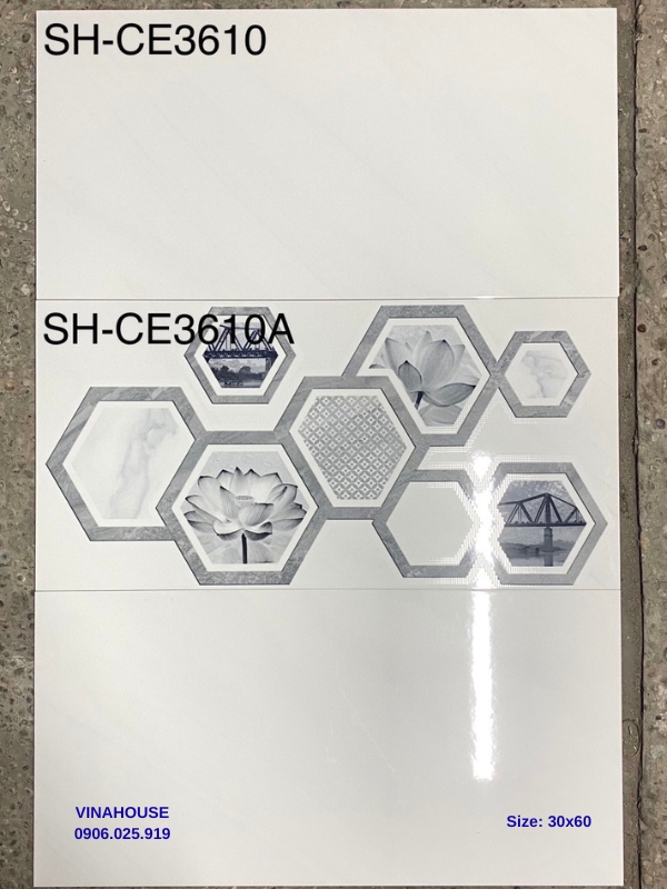 Gạch lát nền 30×60 SH-CE3610
