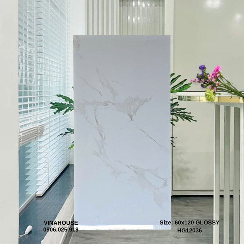 Gạch Lát Nền 60×120 12036