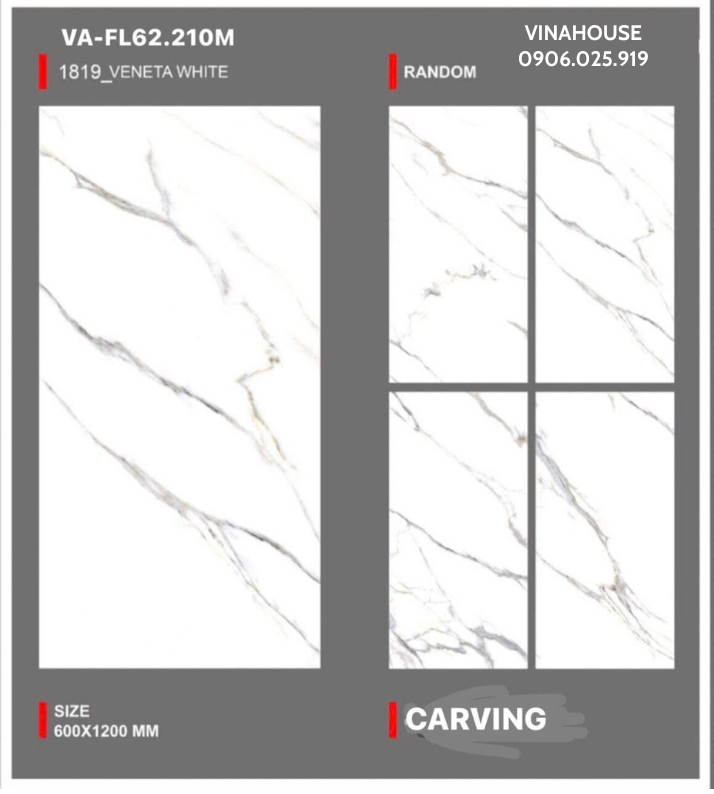 Gạch Lát Nền 60×120 VAFL62210M