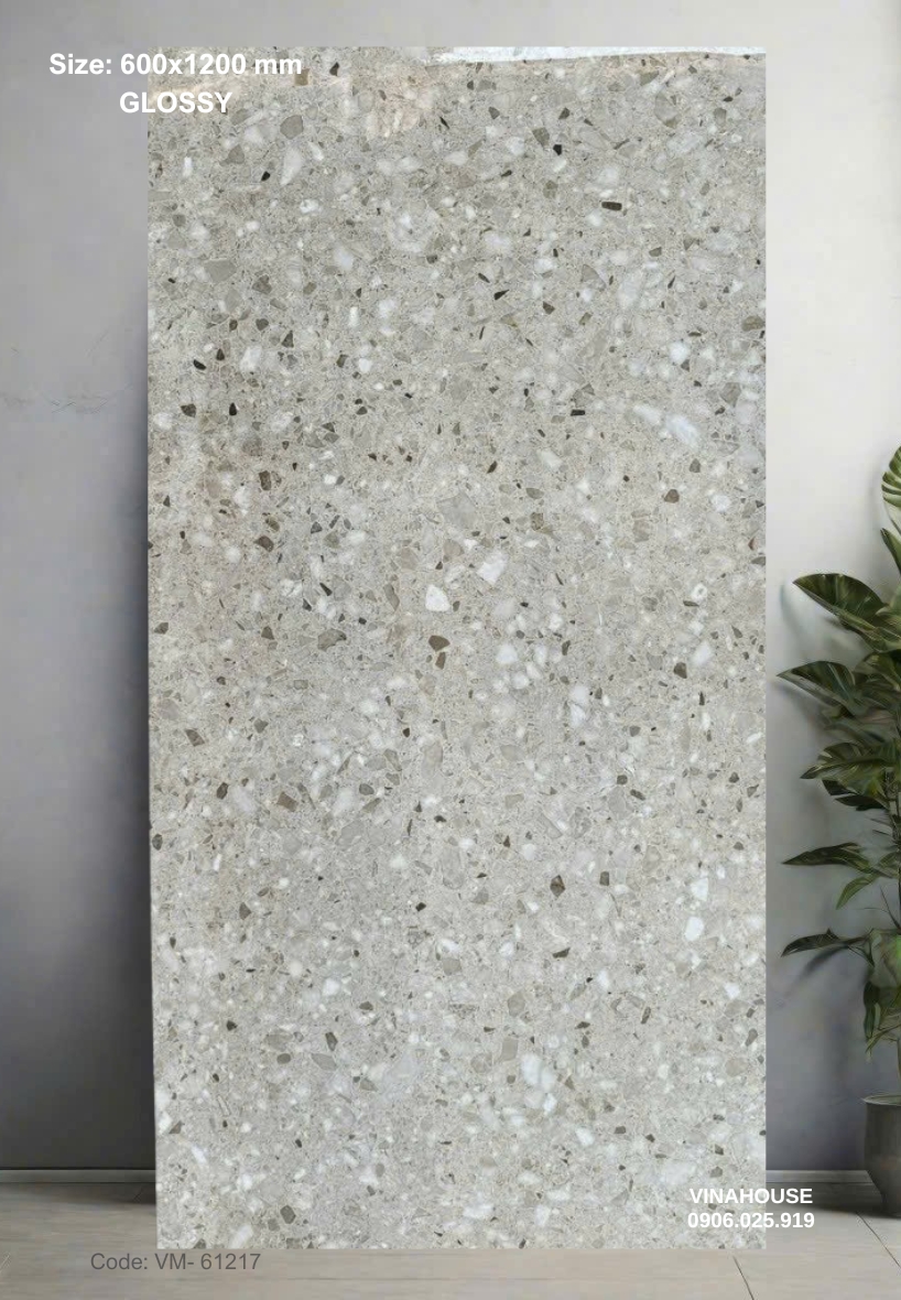 Gạch Lát Nền 60×120 Bóng Kính 61217