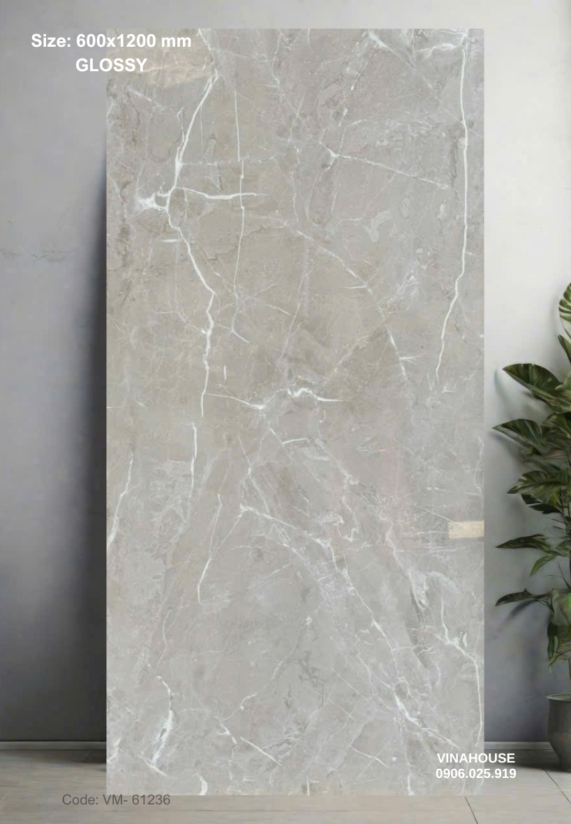 Gạch Lát Nền 60×120 Bóng Kính 61236