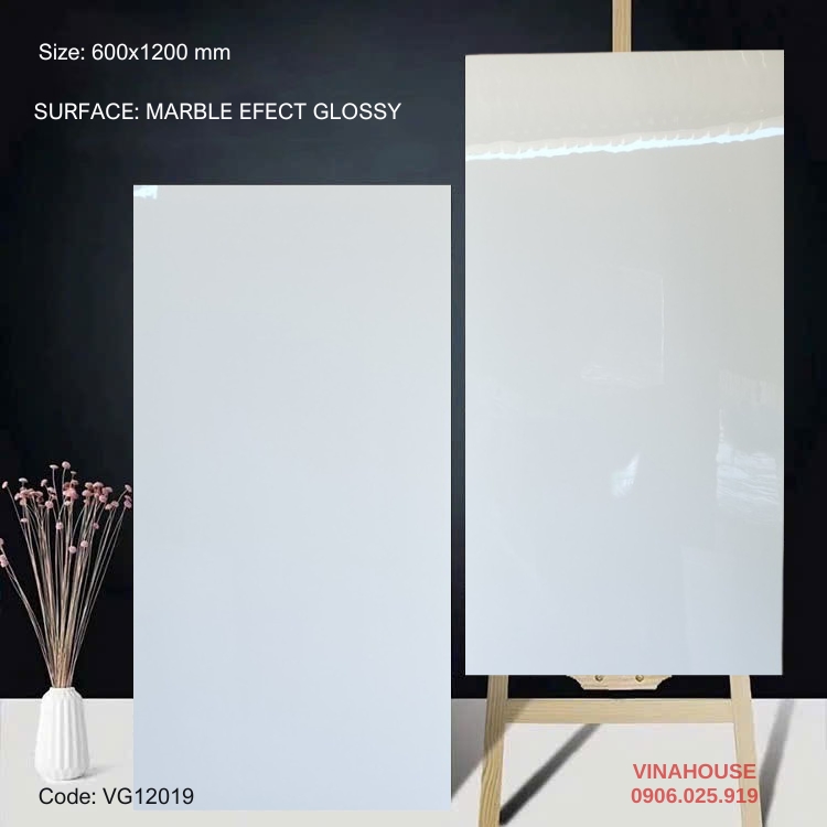 Gạch Lát Nền 60×120 Bóng Kính 12019