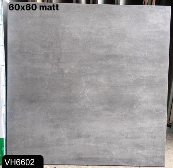 Gạch lát nền Viglacera VH6602