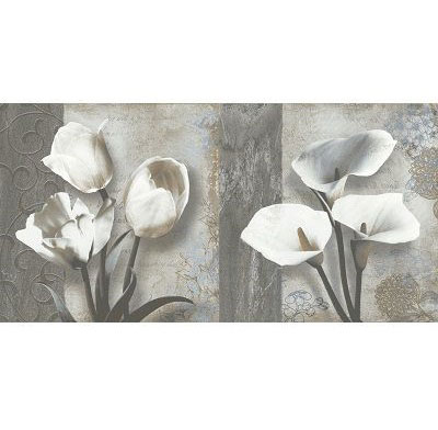 Gạch Ốp Tường 30×60 Viglacera BS3642A