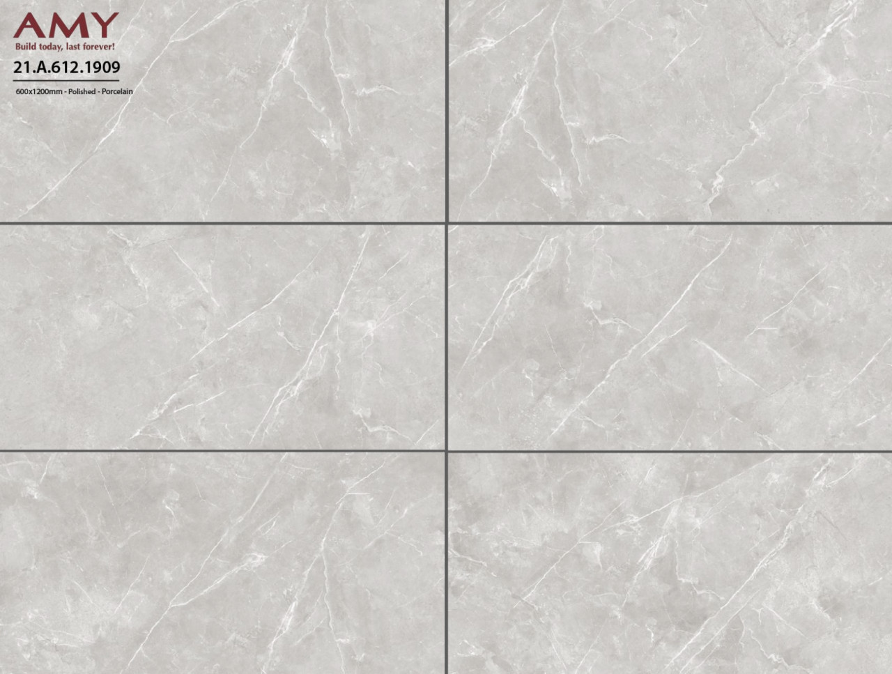 Gạch ốp lát 60×120 Á Mỹ mã AMY 1909 - Ảnh 2