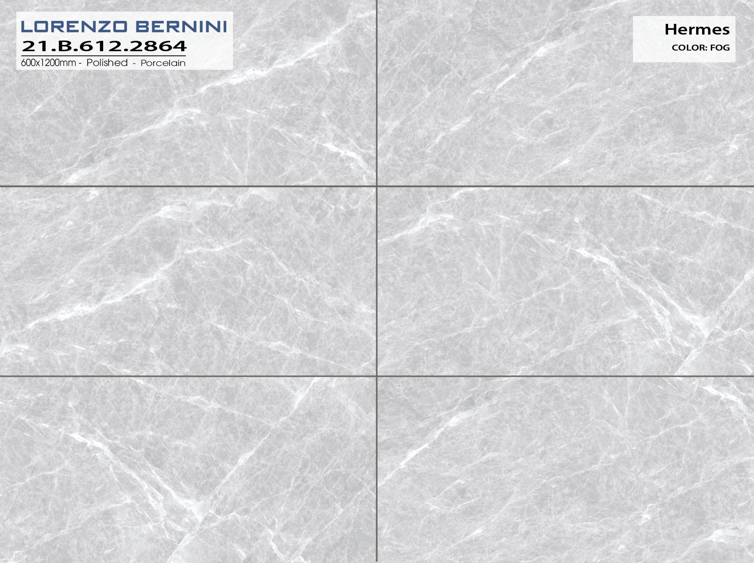 Gạch ốp lát Bernini 60×120 mã 2867 - Ảnh 2