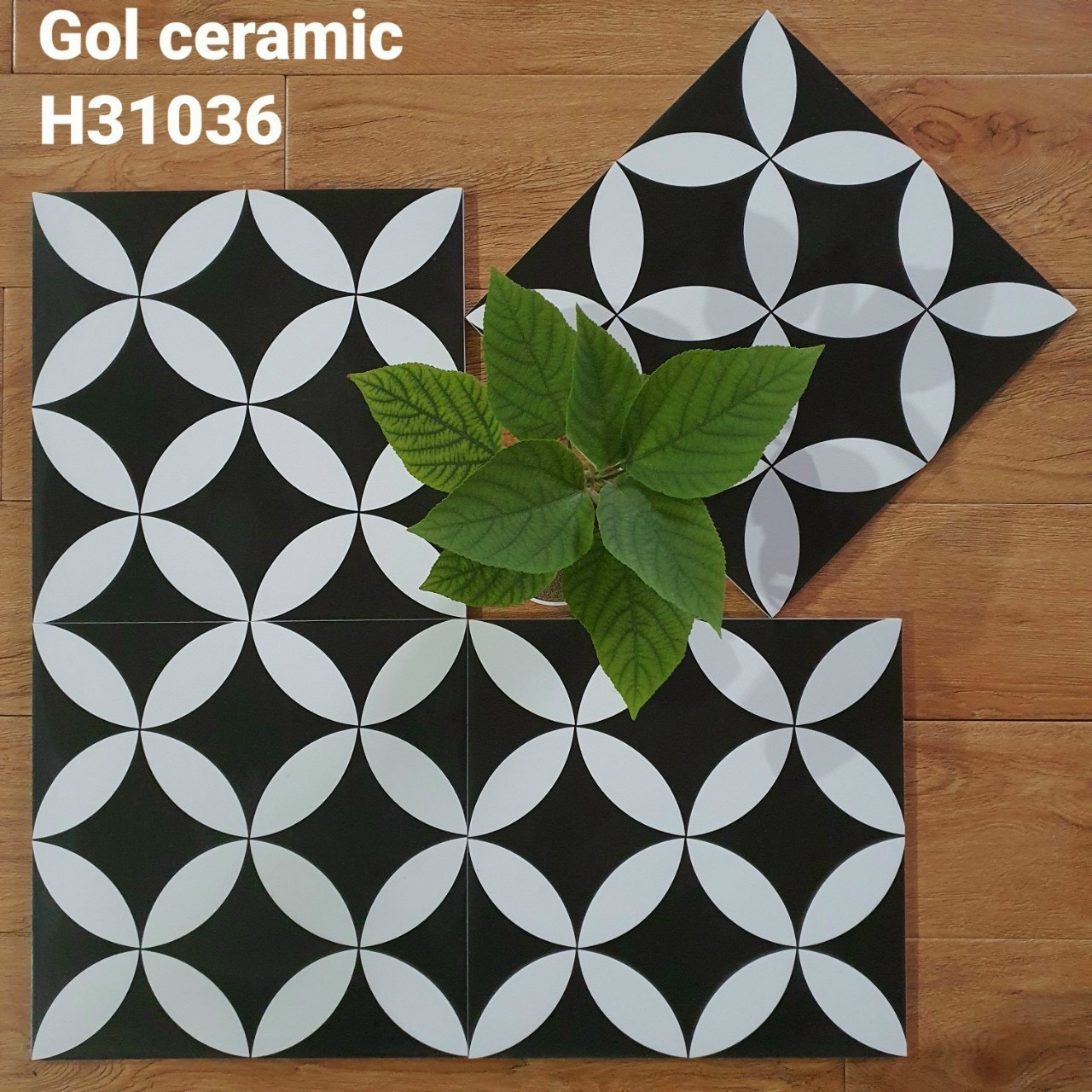 gạch bông men 30×30 xương granit mã 31036