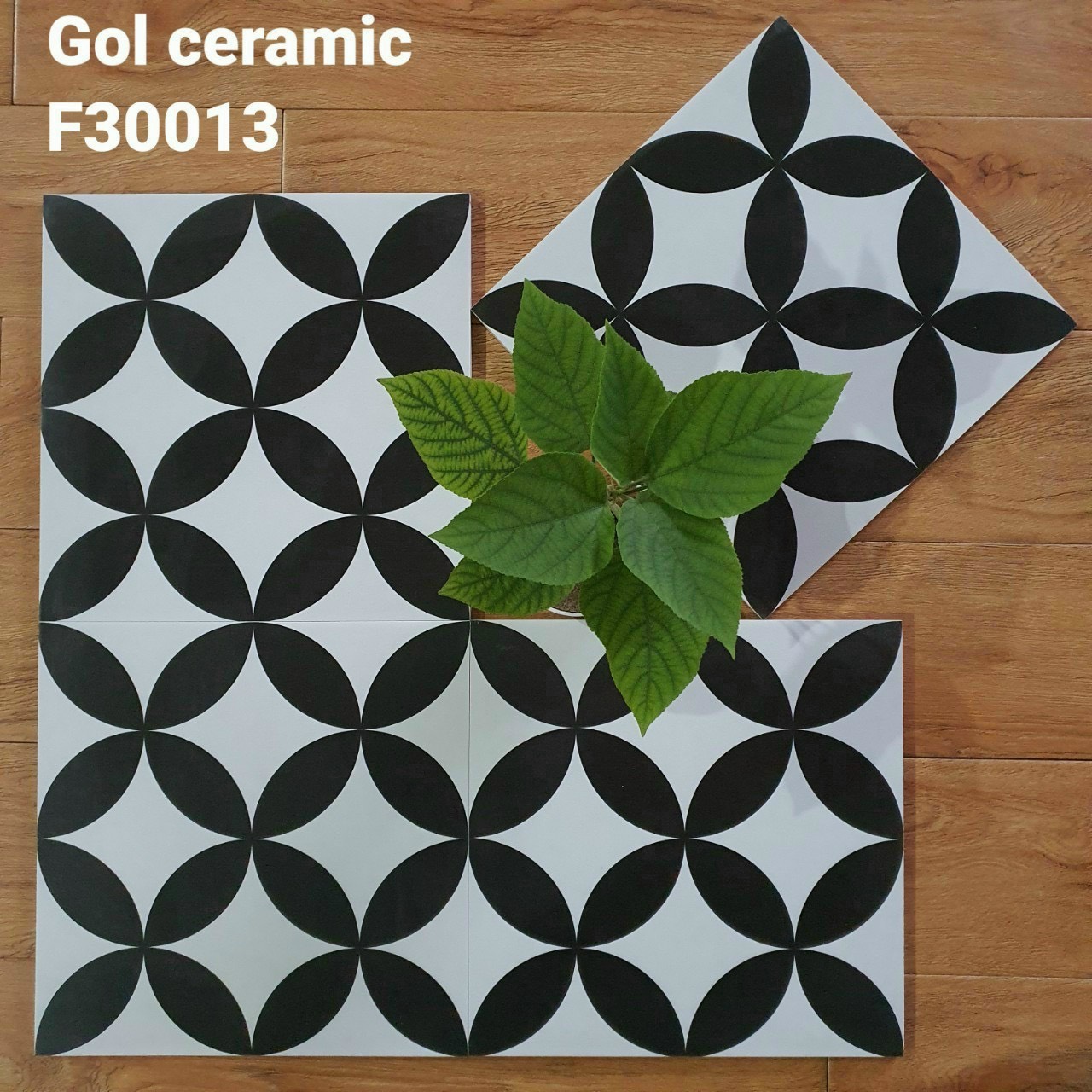 gạch bông men 30×30 xương granit mã 30013