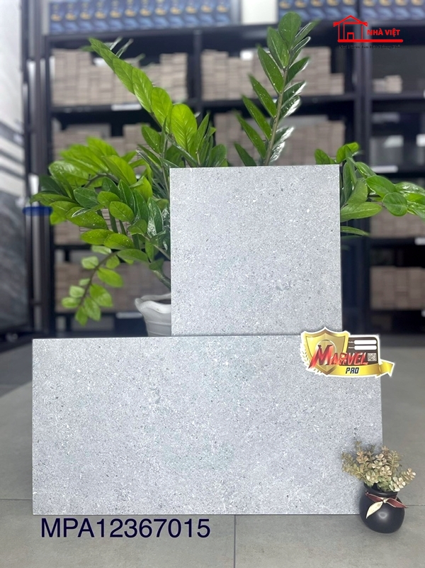 Gach Op Lat Apodio 30x60 Xuong Porcelain MPA 12367015