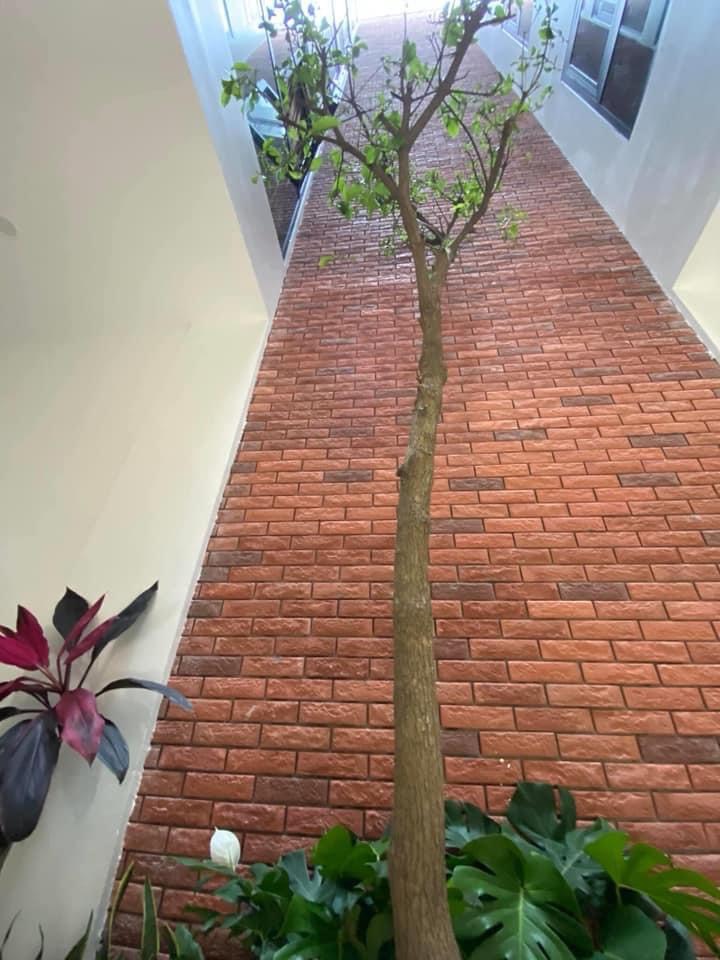 Gạch Giả cổ - Ảnh 18