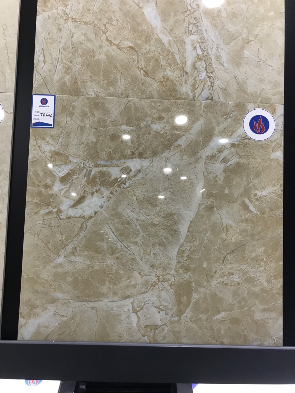 Gạch lát nền Viglacera 60×60 mã TP 602